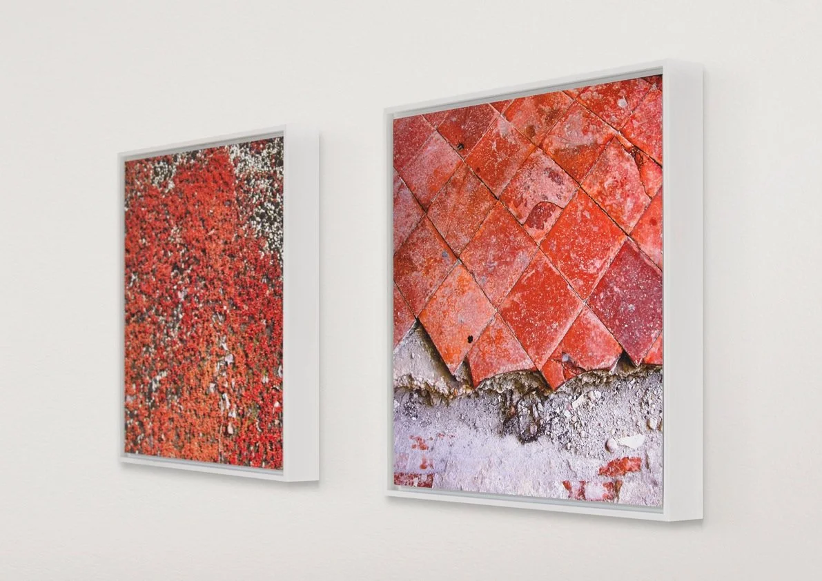 John Pawson, Spectrum Diptych — Carrie Scott